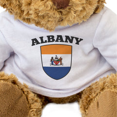 ALBANY CITY FLAG - Teddy Bear - Cute Cuddly Soft - New York Gift Present