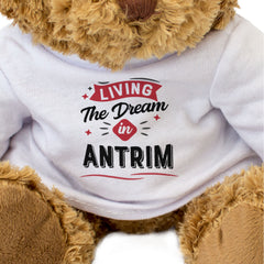 LIVING THE DREAM IN ANTRIM - Teddy Bear - Cute - Funny Ireland Gift Present