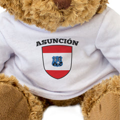 ASUNCIÓN FLAG - Teddy Bear - Cute Cuddly Soft Adorable - Paraguay Gift Present