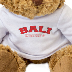 BALI, INDONESIA - Teddy Bear - Cute Soft - Funny Holiday Souvenir Gift Present