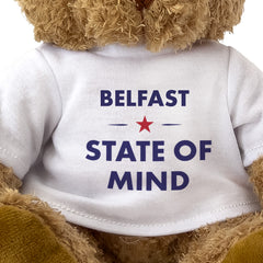 Belfast State of Mind teddy bear - close-up view