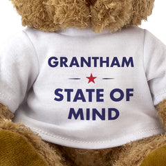 Grantham State of Mind teddy bear - close-up view