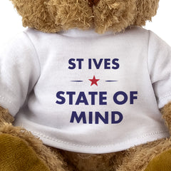 St Ives State of Mind teddy bear - close-up view