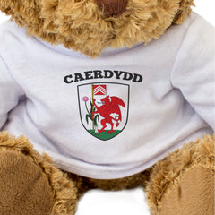 CAERDYDD FLAG - Teddy Bear - Cute Cuddly Soft - Cardiff Wales Gift Present