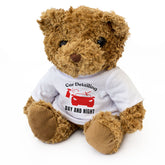 CAR DETAILING DAY AND NIGHT - Teddy Bear - Cute Cuddly Soft - Funny Gift Present