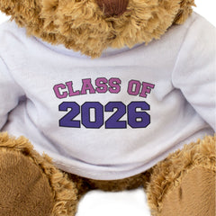 CLASS OF 2026 (PINK/PURPLE) - Teddy Bear - Cute Cuddly - Graduation Gift Present