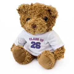 CLASS OF 26 (PINK/PURPLE) - Teddy Bear - Cute - 2026 Graduation Gift Present