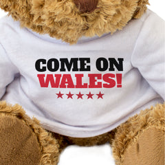 COME ON WALES! - Teddy Bear - Cute Cuddly - Welsh Cymru Sports Fan Gift Present
