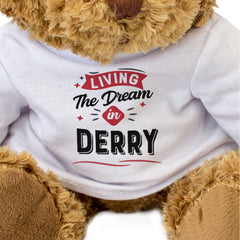 LIVING THE DREAM IN DERRY - Teddy Bear - Cute - Funny Ireland Gift Present