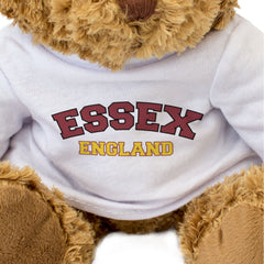 ESSEX, ENGLAND - Teddy Bear - Cute Cuddly Soft Adorable - Funny Gift Present