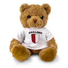 GAILLIMH (GALWAY) COUNTY COLOURS - Teddy Bear - Ireland Gaeilge Gift Present