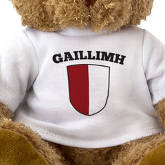 GAILLIMH (GALWAY) COUNTY COLOURS - Teddy Bear - Ireland Gaeilge Gift Present