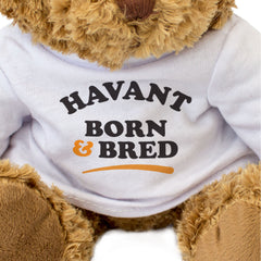 HAVANT BORN & BRED - Teddy Bear - Cute Cuddly Soft - Gift Present