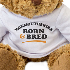 MONMOUTHSHIRE BORN & BRED - Teddy Bear - Cute Funny Welsh Gift Present