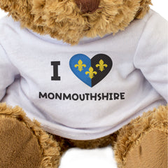 I LOVE MONMOUTHSHIRE FLAG - Teddy Bear - Cute Funny Welsh Gift Present