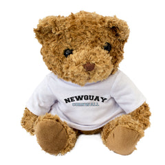 NEWQUAY, CORNWALL - Teddy Bear - Cute Cuddly Soft - Cornish Gift Present