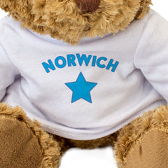 NORWICH - Teddy Bear - Cute Cuddly Soft Adorable - Gift Present