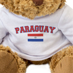 PARAGUAY + FLAG - Teddy Bear - Cute Funny - Paraguayan Souvenir Gift Present