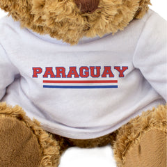 PARAGUAY FLAG STRIPES - Teddy Bear - Cute - Paraguayan Souvenir Gift Present