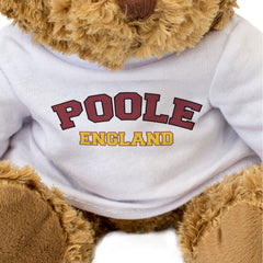 POOLE, ENGLAND - Teddy Bear - Cute Cuddly Soft - Funny Dorset Gift Present