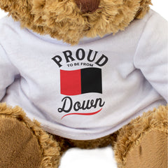 PROUD TO BE FROM DOWN - Teddy Bear - Ireland County Down Gift Present