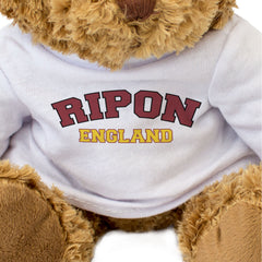RIPON, ENGLAND - Teddy Bear - Cute Cuddly Soft - Funny Yorkshire Gift Present
