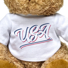 USA (SCRIPT) - Teddy Bear - Cute Cuddly Soft Funny - Souvenir Gift Present