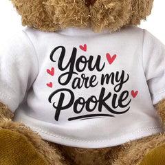 YOU ARE MY POOKIE - Teddy Bear - Cute Cuddly Soft - Romantic Gift Present