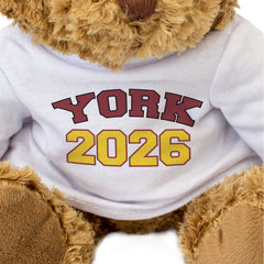YORK 2026 - Teddy Bear - Cute Cuddly Soft Adorable - Graduation Gift Present