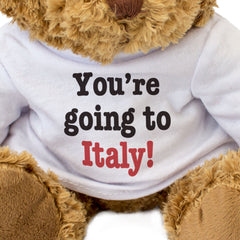 YOU'RE GOING TO ITALY! - Teddy Bear - Surprise Holiday Vacation - Gift Present