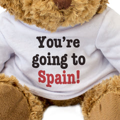 YOU'RE GOING TO SPAIN! - Teddy Bear - Surprise Holiday Vacation - Gift Present