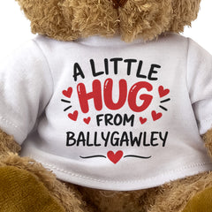 Close-up of the A Little Hug From Ballygawley T-shirt design