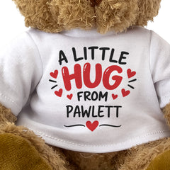 Close-up of the A Little Hug From Pawlett T-shirt design