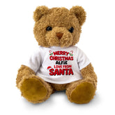 Merry Christmas Love From Santa (Personalised Name) - Teddy Bear - Cute - Xmas Gift Present (Copy)
