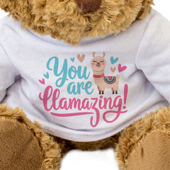 YOU ARE LLAMAZING - Teddy Bear - Cute Cuddly Soft Adorable - Gift Present