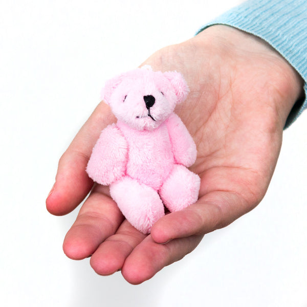 Small Pink Teddy Bear