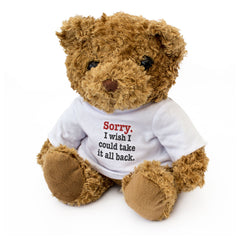 Sorry I Wish I Could Take It All Back - Teddy Bear