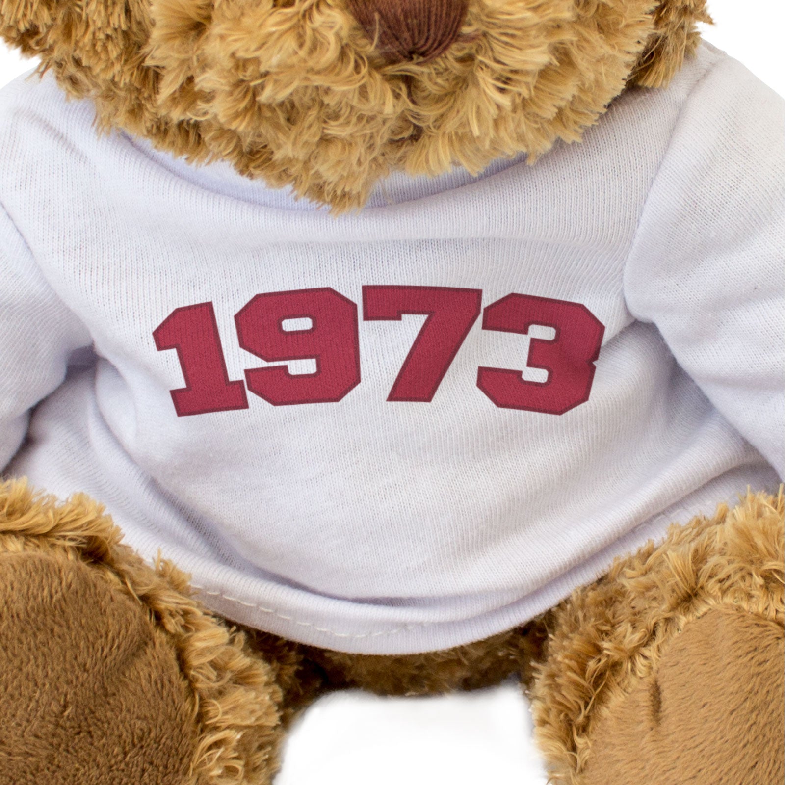 1973 - Teddy Bear - Cute Cuddly Funny - Friend Born In 1973 Year Gift Present