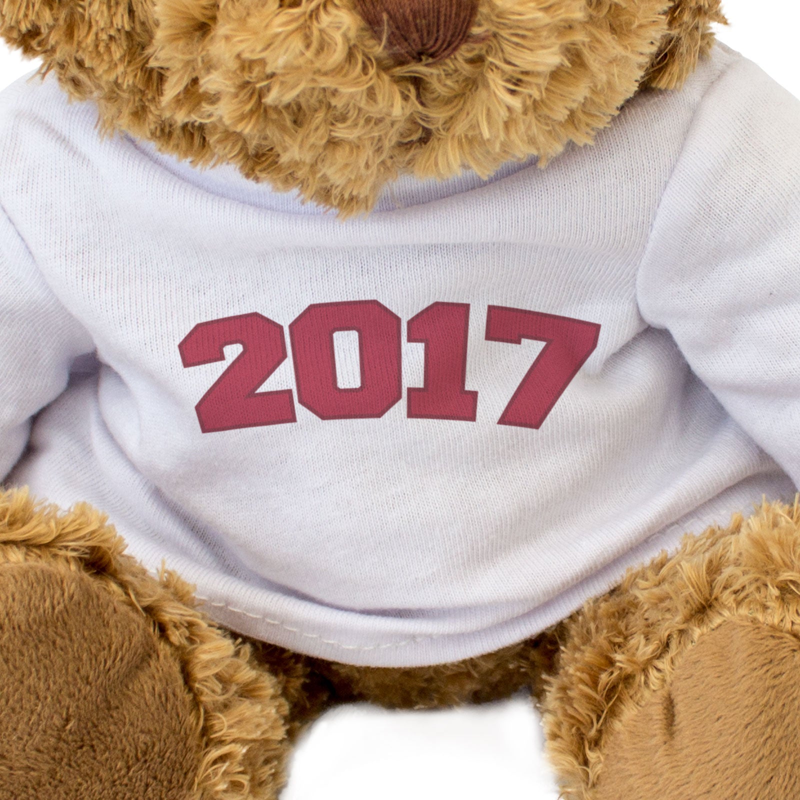 2017 - Teddy Bear - Cute Cuddly Funny - Friend Born In 2017 Year Gift Present