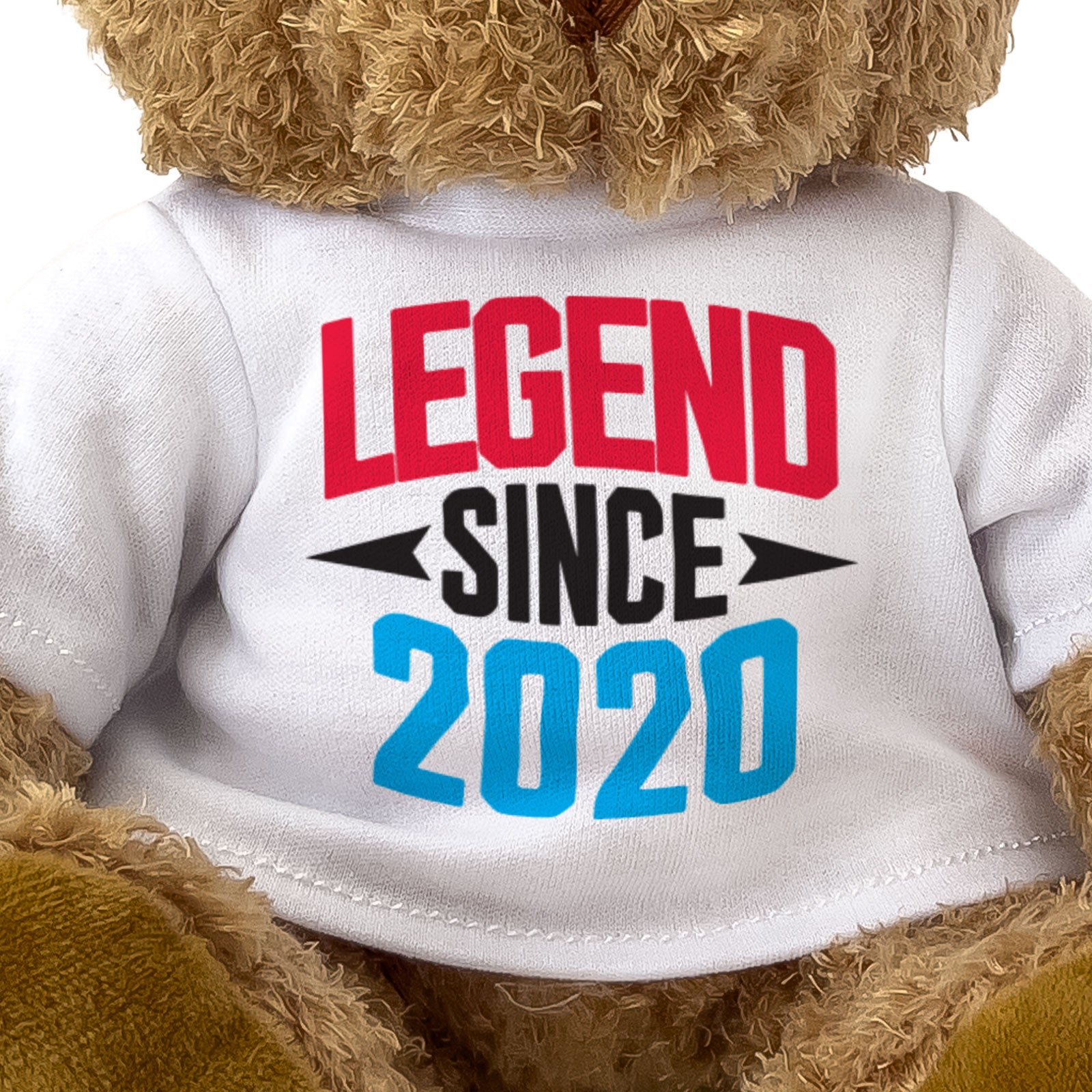 LEGEND SINCE 2020 - Teddy Bear - Cute Funny - Friend Born In 2020 Gift Present