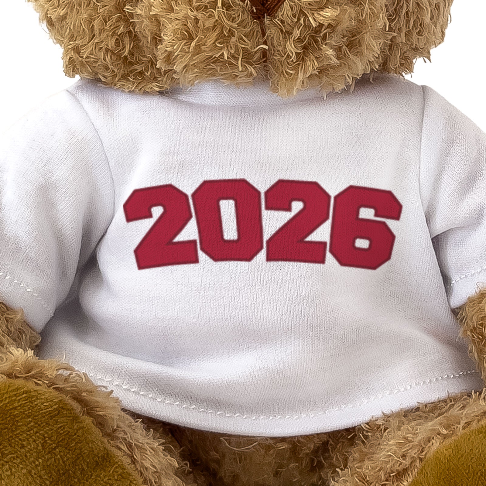 2026 - Teddy Bear - Cute Cuddly Funny - Friend Born In 2026 Year Gift Present