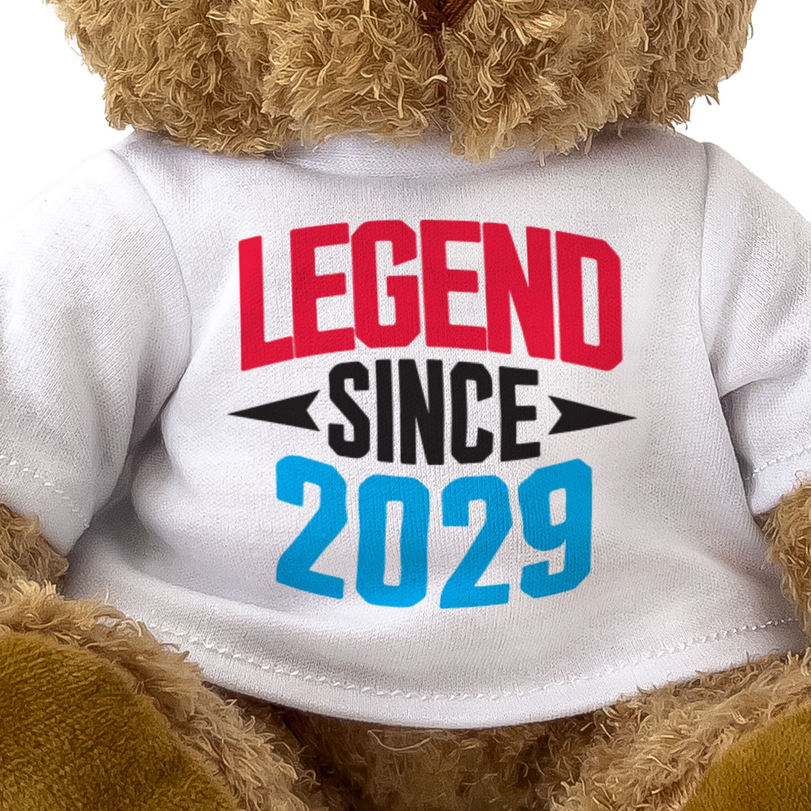 LEGEND SINCE 2029 - Teddy Bear - Cute Funny - Friend Born In 2029 Gift Present
