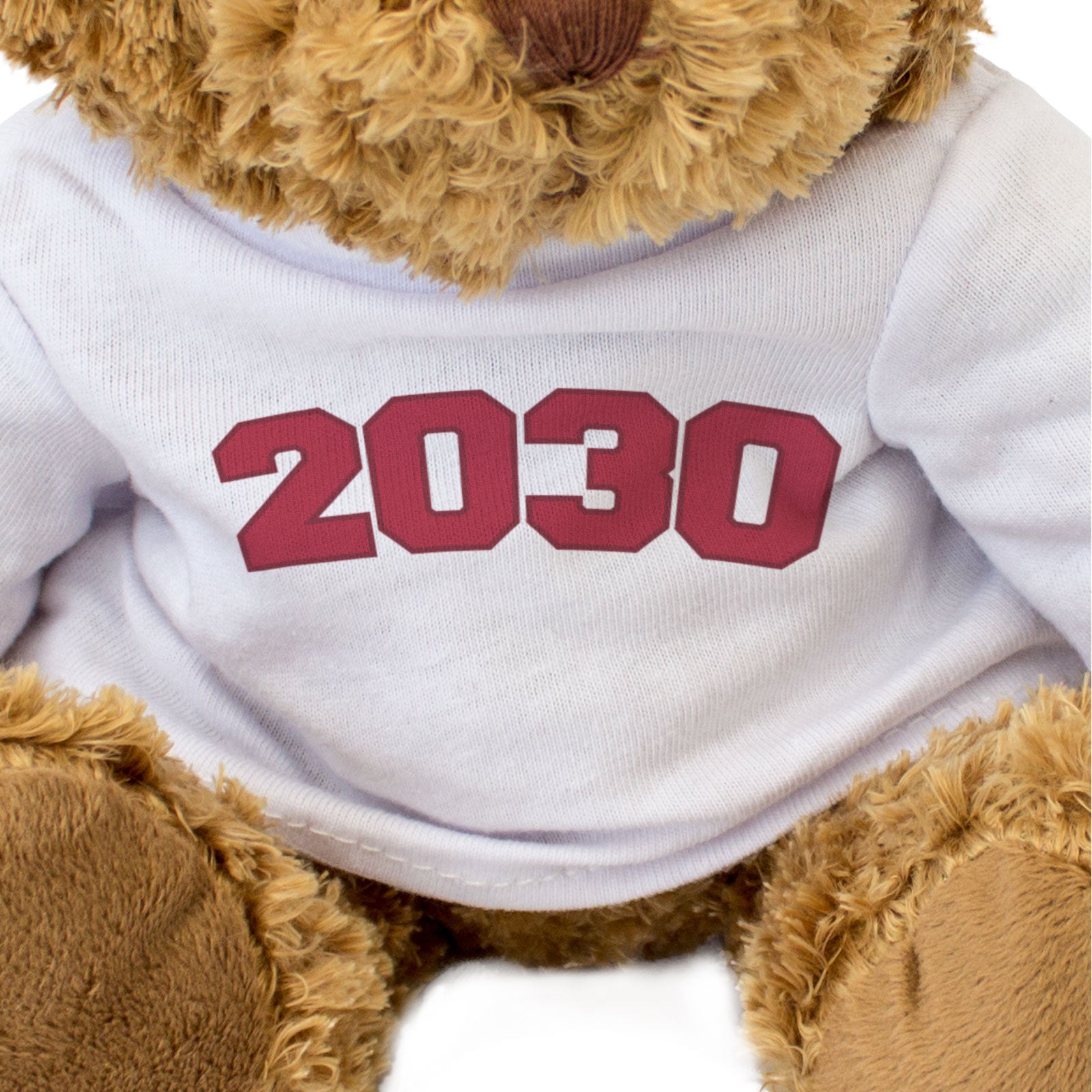 2030 - Teddy Bear - Cute Cuddly Funny - Friend Born In 2030 Year Gift Present