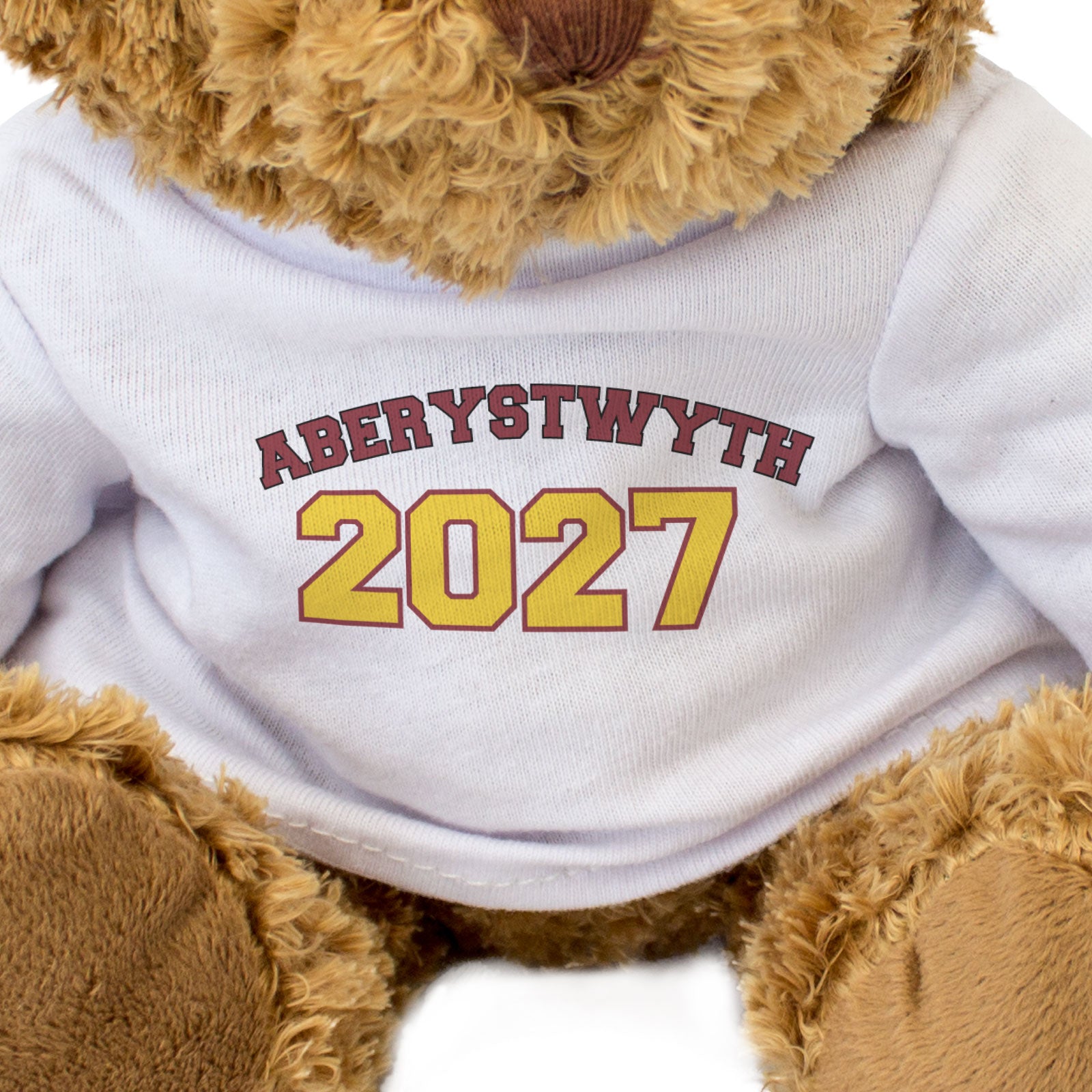 ABERYSTWYTH 2027 - Teddy Bear - Cute Funny - Graduation Gift Present - Image 3