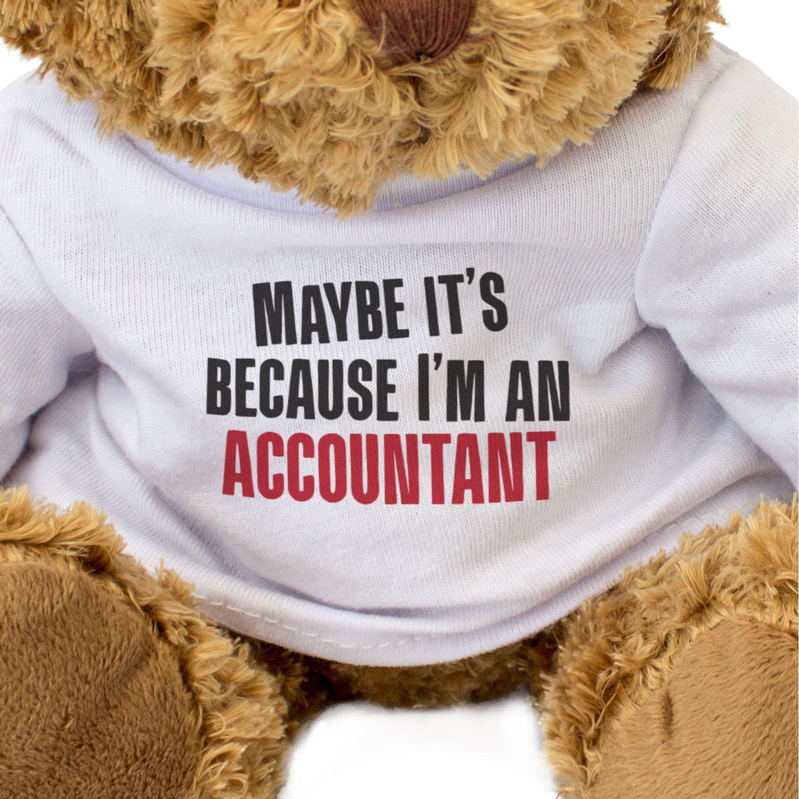 MAYBE IT'S BECAUSE I'M AN ACCOUNTANT - Teddy Bear - Cute - Funny Gift Present
