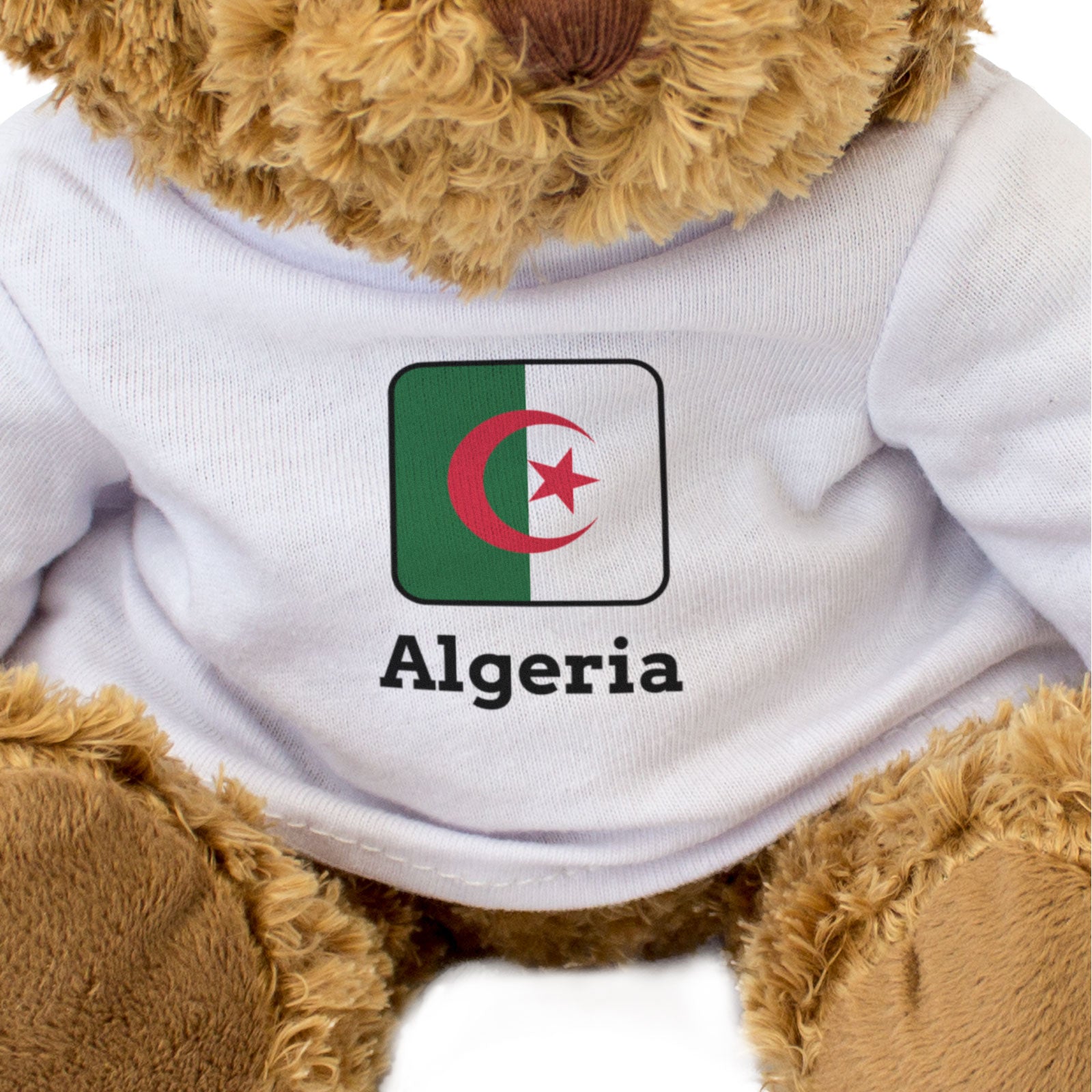 ALGERIA FLAG SQUARE - Teddy Bear - Cute Funny - Algerian Souvenir Gift Present
