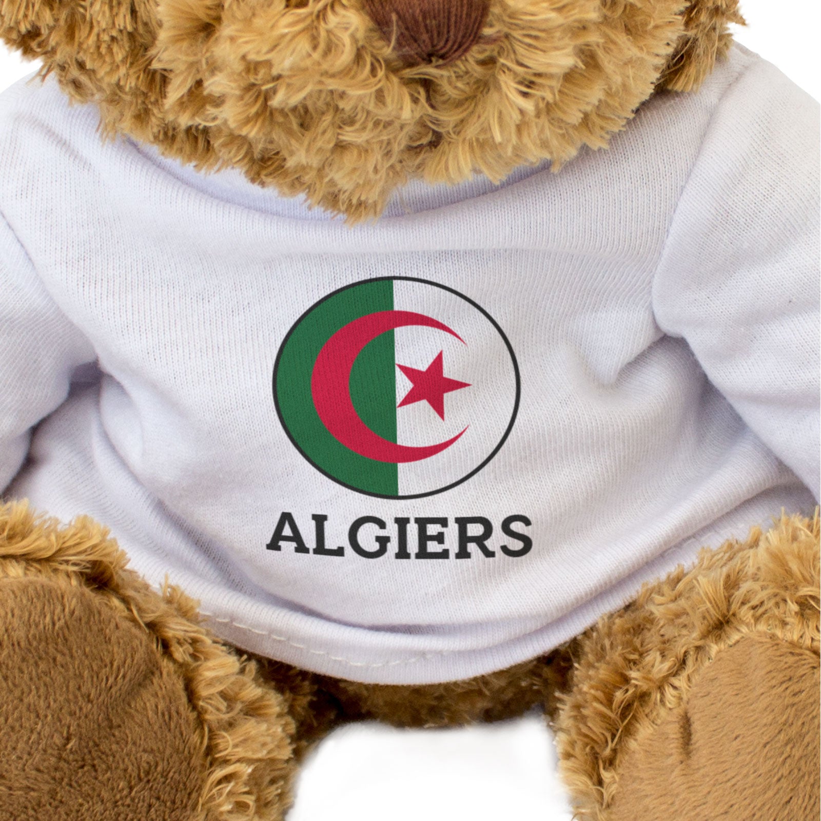 ALGIERS (ALGERIA FLAG ROUNDEL) - Teddy Bear - Cute Soft - Funny Gift Present