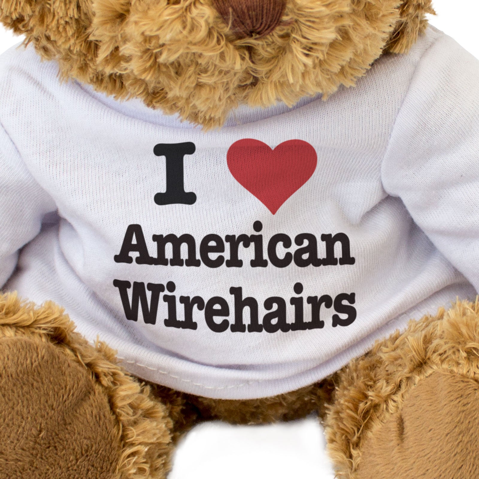 I LOVE AMERICAN WIREHAIRS - Teddy Bear - Cute Cuddly Soft - Cats Gift Present