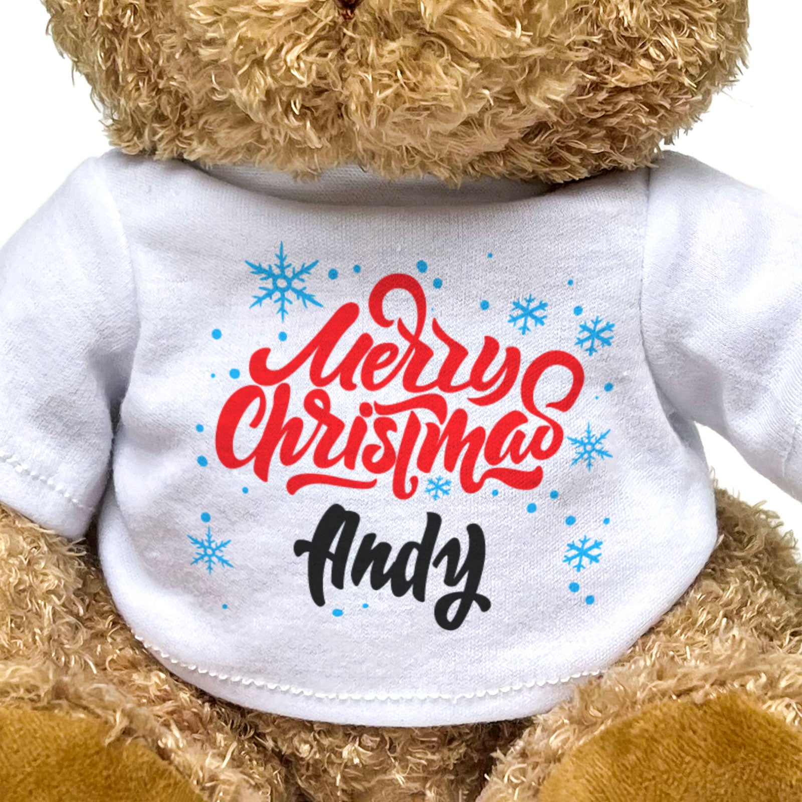 MERRY CHRISTMAS ANDY - Teddy Bear - Cute Cuddly Soft - Xmas Gift Present
