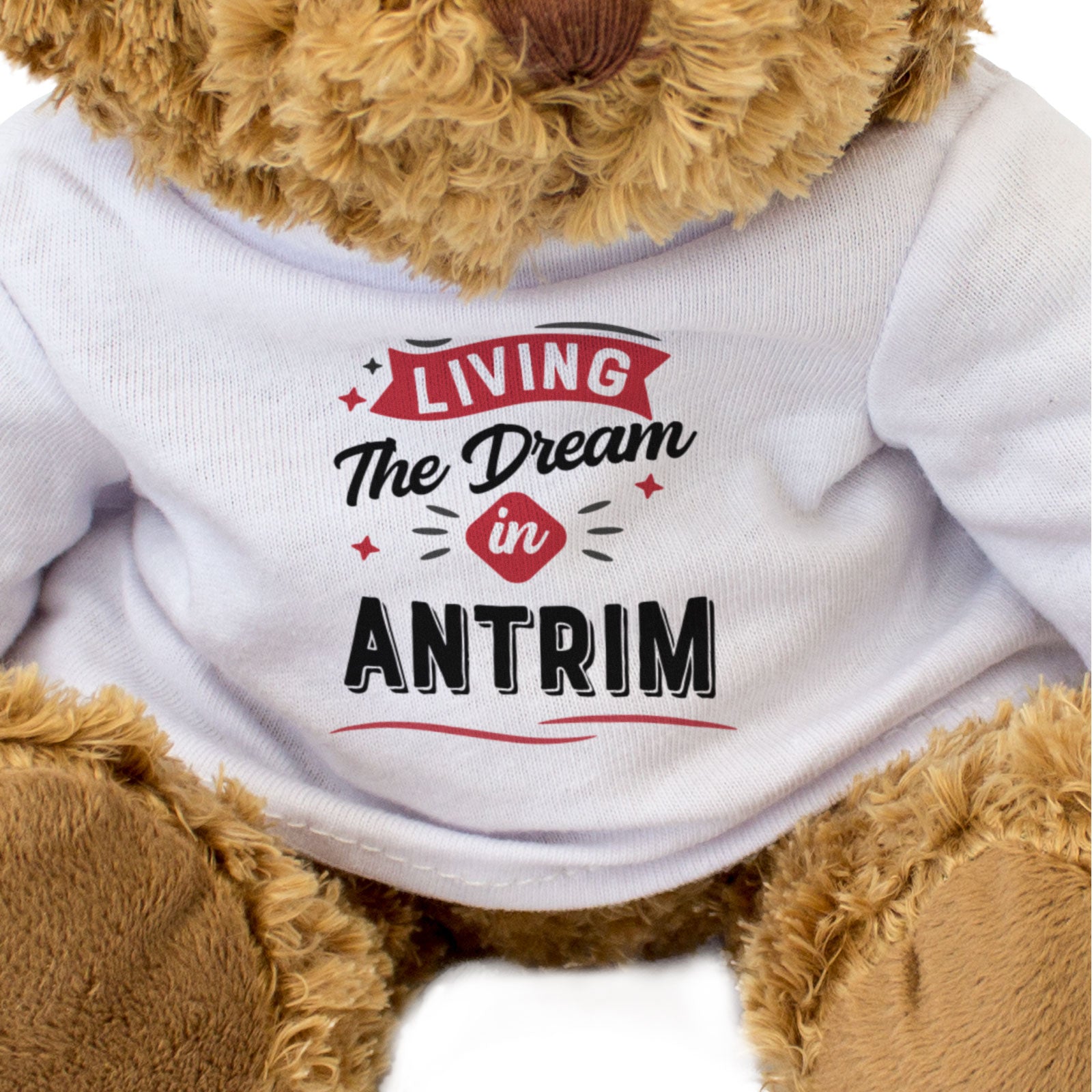 LIVING THE DREAM IN ANTRIM - Teddy Bear - Cute - Funny Ireland Gift Present